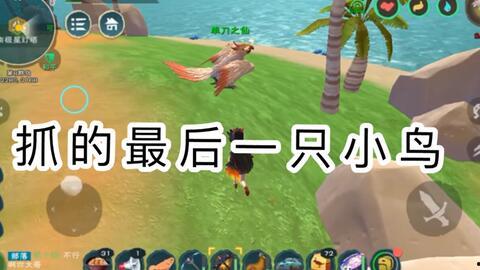 创造与魔法最新坐骑爆料,神秘坐骑曝光，探索未知奇幻世界