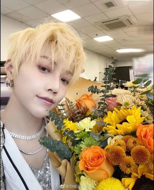 郑欣宜刘雨昕最新爆料,揭秘娱乐圈不为人知的一面