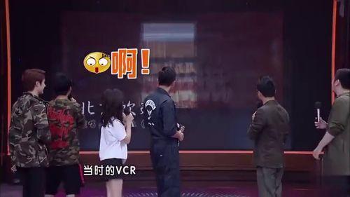 节目爆料视频大全最新,最新爆料视频大全精彩回顾