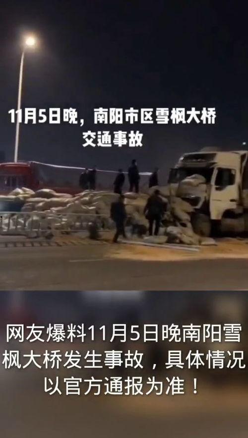 南阳最新爆料事件新闻,事件真相再掀波澜