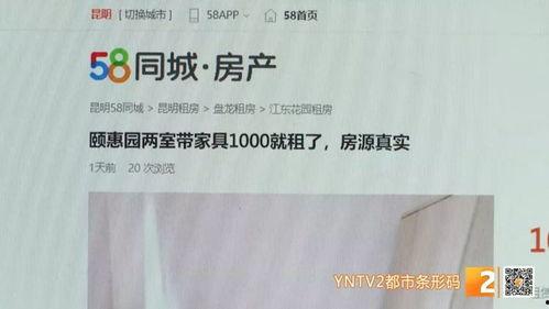 深圳沈先生最新爆料,揭秘最新行业动态