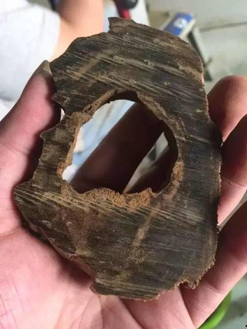 沉香今日爆料最新消息,揭秘娱乐圈惊人内幕