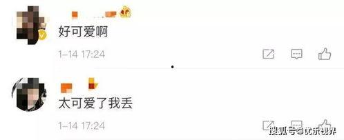 微信吃瓜爆料免费最新,微信吃瓜爆料免费，带你领略最新热门事件！